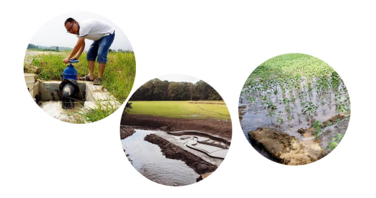 灌區(qū)灌溉 灌區(qū)灌溉