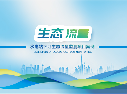 水電站生態流量泄洪監測項目
